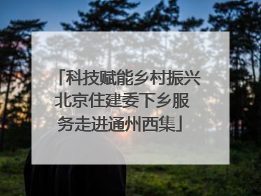 科技赋能乡村振兴 北京住建委下乡服务走进通州西集