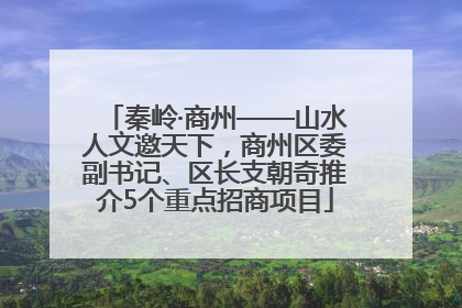 秦岭·商州——山水人文邀天下，商州区委副书记、区长支朝奇推介5个重点招商项目