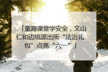 童趣课堂学安全，文山仁和边境派出所“法治礼包”点亮“六一”