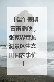 端午假期冒雨插秧，张家界黄龙洞景区生态田园农事忙