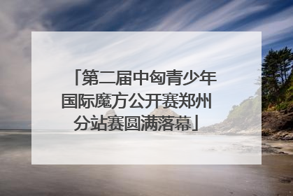 第二届中匈青少年国际魔方公开赛郑州分站赛圆满落幕