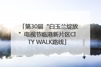 第30届“白玉兰绽放”电视节临港新片区CITY WALK路线