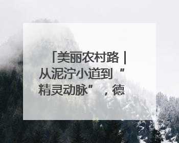 美丽农村路｜从泥泞小道到“精灵动脉”，德清有条“虾路”火了
