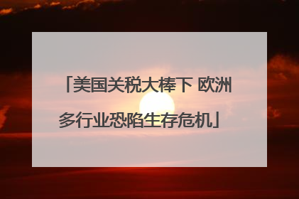美国关税大棒下 欧洲多行业恐陷生存危机