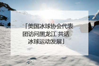 美国冰球协会代表团访问黑龙江 共话冰球运动发展