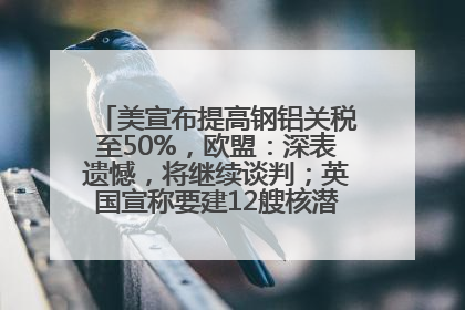 美宣布提高钢铝关税至50%，欧盟：深表遗憾，将继续谈判；英国宣称要建12艘核潜艇；马斯克最新发声：不想为美政府所做的一切承担责任丨早报