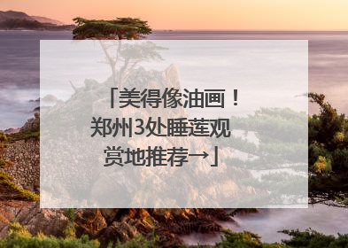 美得像油画！郑州3处睡莲观赏地推荐→