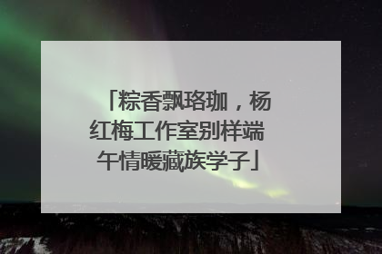 粽香飘珞珈，杨红梅工作室别样端午情暖藏族学子