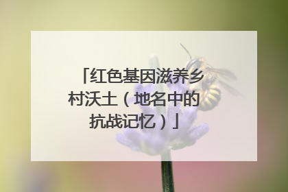 红色基因滋养乡村沃土（地名中的抗战记忆）