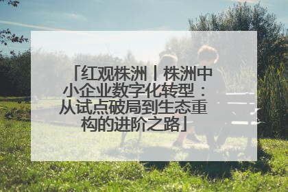 红观株洲丨株洲中小企业数字化转型：从试点破局到生态重构的进阶之路