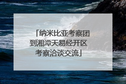 纳米比亚考察团到湘潭天易经开区考察洽谈交流