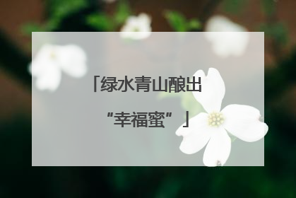 绿水青山酿出“幸福蜜”