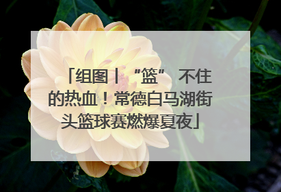 组图丨“篮” 不住的热血！常德白马湖街头篮球赛燃爆夏夜