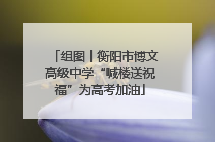 组图丨衡阳市博文高级中学“喊楼送祝福”为高考加油