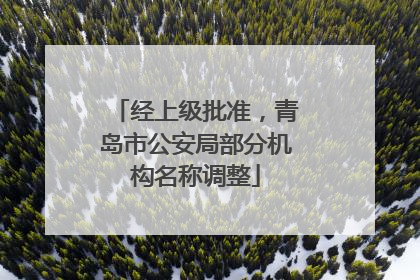 经上级批准，青岛市公安局部分机构名称调整