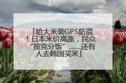 给大米装GPS防盗！日本米价高涨，民众“按克分饭”……还有人去韩国买米