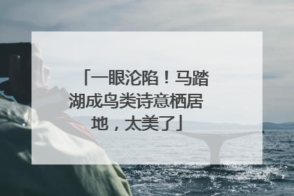 一眼沦陷！马踏湖成鸟类诗意栖居地，太美了