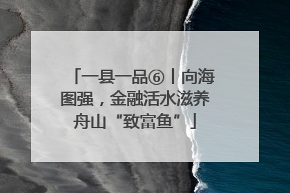 一县一品⑥丨向海图强，金融活水滋养舟山“致富鱼”