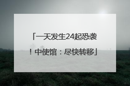 一天发生24起恐袭！中使馆：尽快转移