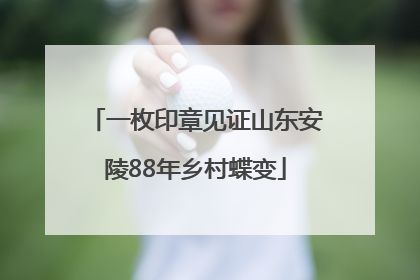 一枚印章见证山东安陵88年乡村蝶变