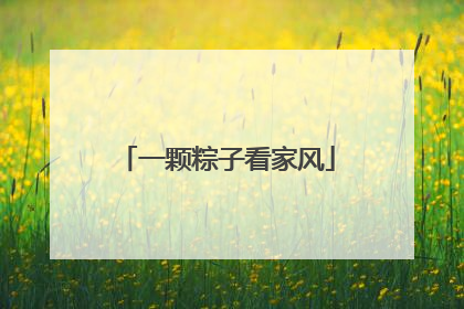 一颗粽子看家风