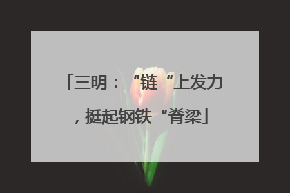 三明：“链“上发力，挺起钢铁“脊梁