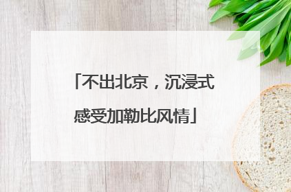 不出北京，沉浸式感受加勒比风情