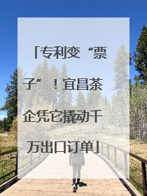 专利变“票子”！宜昌茶企凭它撬动千万出口订单