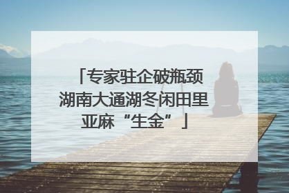 专家驻企破瓶颈 湖南大通湖冬闲田里亚麻“生金”