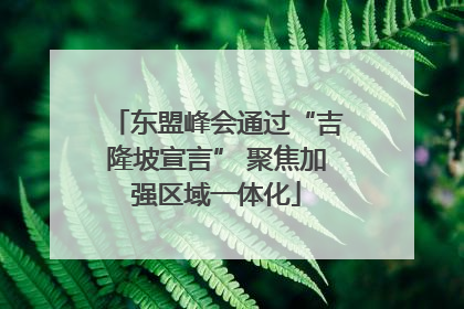 东盟峰会通过“吉隆坡宣言” 聚焦加强区域一体化