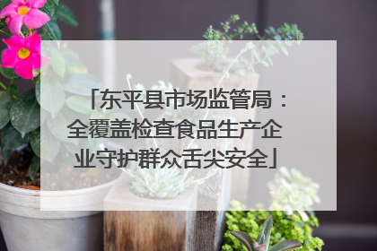 东平县市场监管局：全覆盖检查食品生产企业守护群众舌尖安全