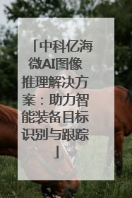 中科亿海微AI图像推理解决方案：助力智能装备目标识别与跟踪