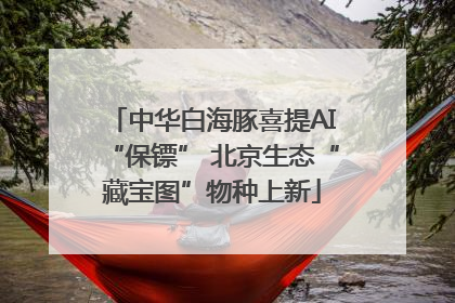 中华白海豚喜提AI“保镖” 北京生态“藏宝图”物种上新
