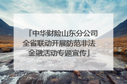 中华财险山东分公司全省联动开展防范非法金融活动专题宣传