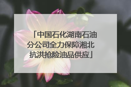 中国石化湖南石油分公司全力保障湘北抗洪抢险油品供应