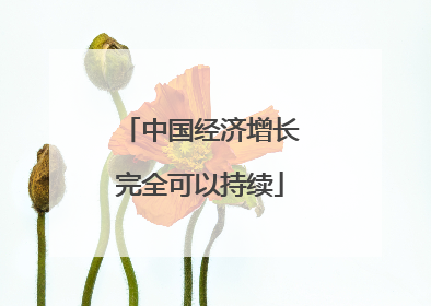 中国经济增长完全可以持续