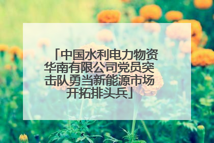 中国水利电力物资华南有限公司党员突击队勇当新能源市场开拓排头兵
