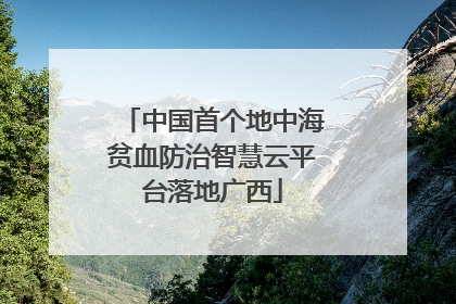 中国首个地中海贫血防治智慧云平台落地广西