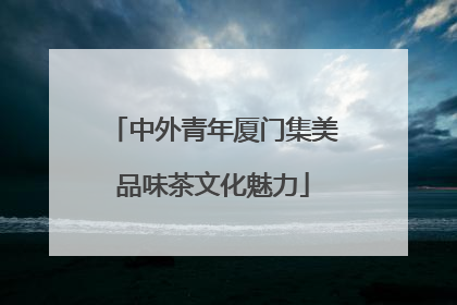 中外青年厦门集美品味茶文化魅力