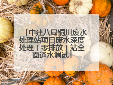 中建八局铜川废水处理站项目废水深度处理（零排放）站全面通水调试