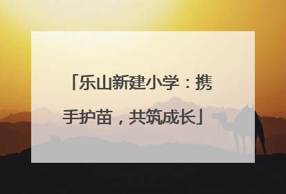 乐山新建小学：携手护苗，共筑成长