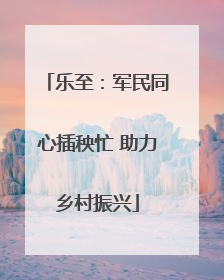 乐至：军民同心插秧忙 助力乡村振兴