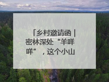 乡村邀请函｜密林深处“羊咩咩”，这个小山村如何逆袭？