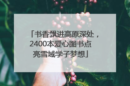 书香飘进高原深处，2400本爱心图书点亮雪域学子梦想