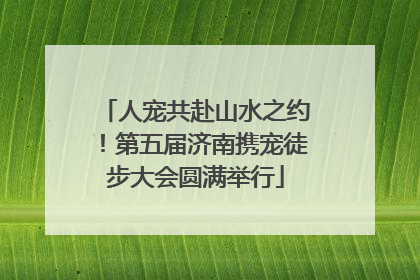 人宠共赴山水之约！第五届济南携宠徒步大会圆满举行