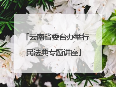 云南省委台办举行民法典专题讲座