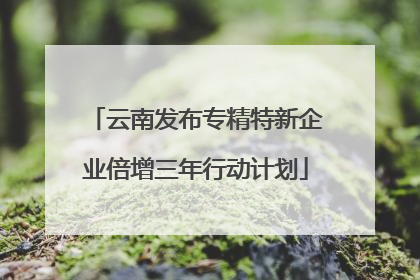 云南发布专精特新企业倍增三年行动计划