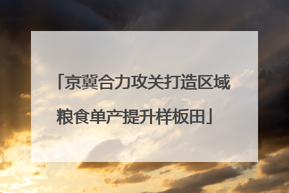 京冀合力攻关打造区域粮食单产提升样板田