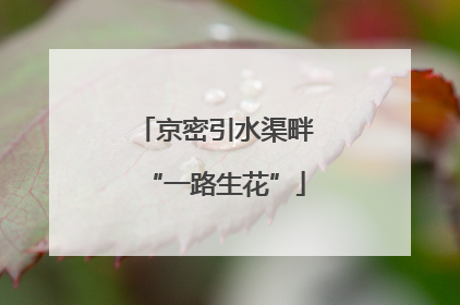 京密引水渠畔“一路生花”