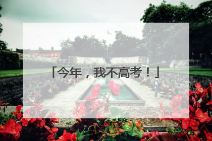 今年，我不高考！